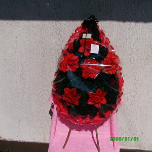suza