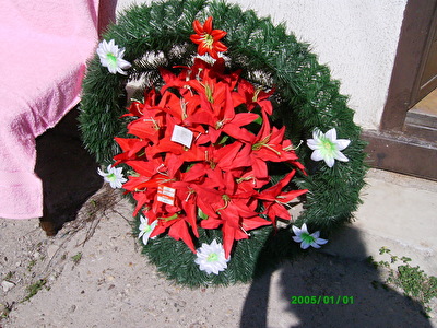 korpa Saška