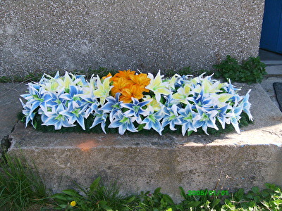 ikebana za sanduk